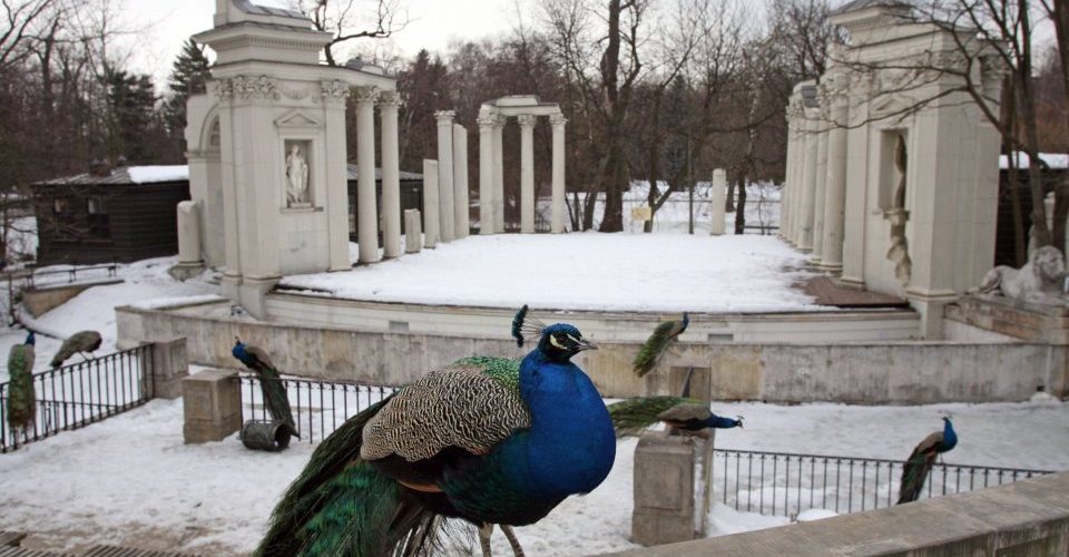 Lazienki Park in Warsaw - guided tour, sightseeing Warsaw